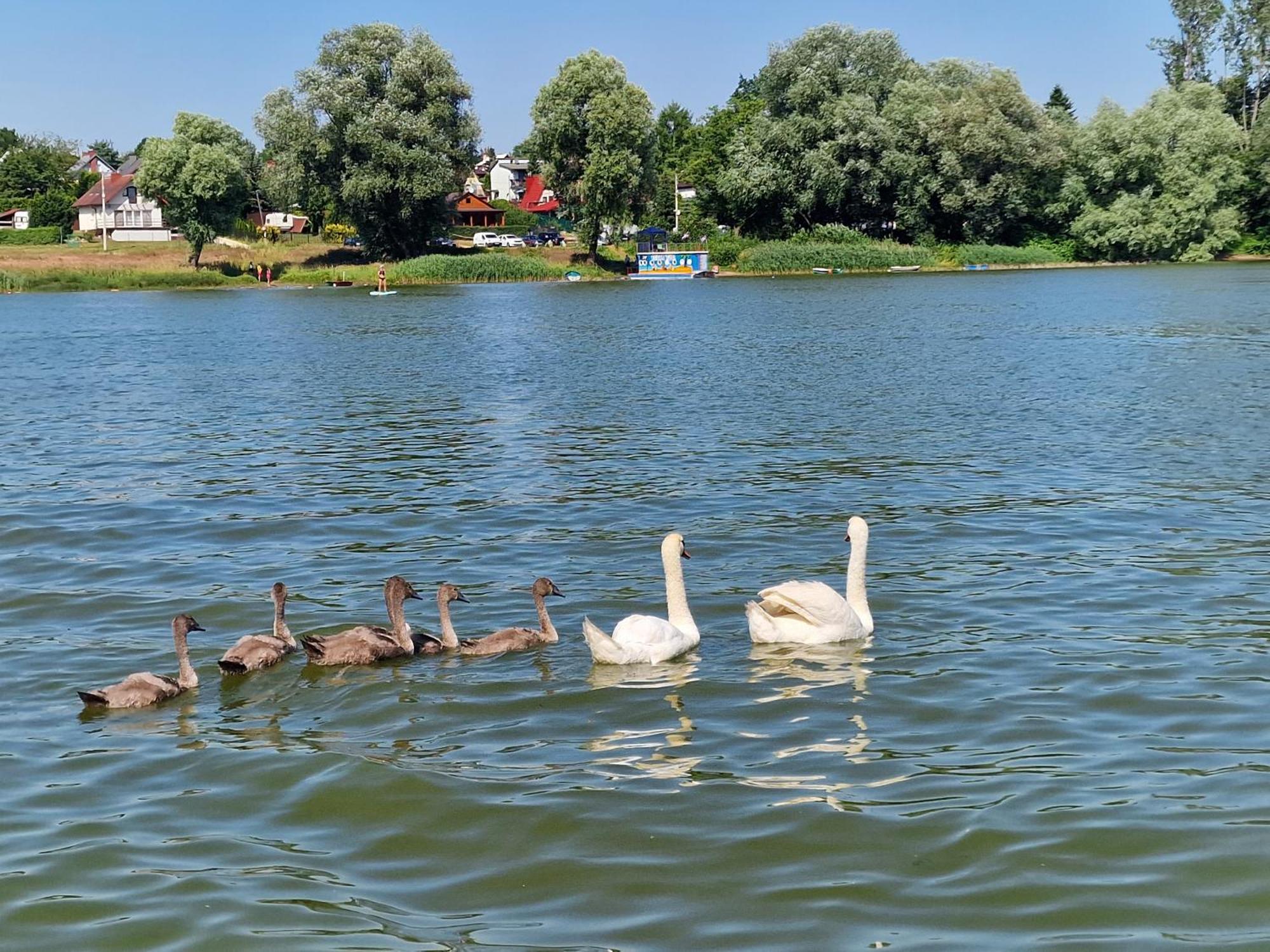Hotel Marinasurf Baza Wypoczynkowa Przeczyce Esterno foto